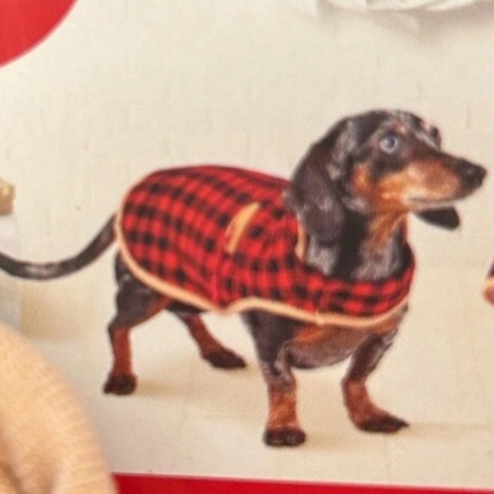 Dog & Cat Red Flannel Sweater - Wondershop - M